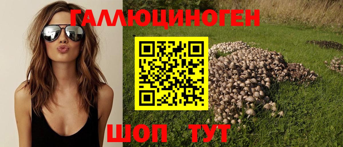 Переславль-Залесский  Псилоцибиновые грибы мухоморы  Вход с VPN  Псилоцибиновые грибы ЛСД 